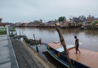 Heboh! Anak Buaya Muncul di Kuin Selatan, Diduga Korban Perdagangan Satwa Ilegal