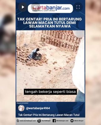 VIDEO - Tak Gentar! Pria Ini Bertarung Lawan Macan Tutul Demi Selamatkan Nyawa