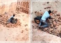 VIRAL! Buruh Bangunan Duel Hidup-Mati Lawan Macan Tutul Pakai Tangan Kosong, Selamat Meski Luka Parah