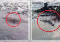Maut di Pantai Sigandu: Kakak Adik Tewas, Diduga Sang Ibu Ajak Balitanya Bunuh Diri Bersama!