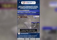 VIDEO - Empat Paus Terdampar di Jepang Usai Gempa Magnitudo 8,7 di Rusia, Tsunami Capai 50 Sentimeter
