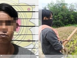 TRAGIS! Perempuan Paruh Baya di Tabalong Tewas Dipukul Bambu, Pelaku Ternyata Keponakan Sendiri