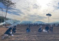 Dukung Ketahanan Pangan, DPKP Kalsel 'Sulap' Lahan Tidur Jadi Pertanian
