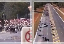 WOW! Presiden Prabowo Disambut Megah di Brasil, Pakai Penghormatan Kuda Parade dari Presiden Lula