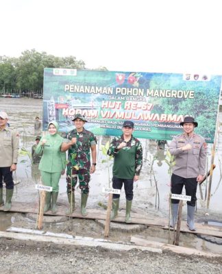 Aksi Hijau Bareng TNI! DPRD dan Pemkab Tanah Bumbu Tanam 500 Mangrove untuk Lawan Abrasi