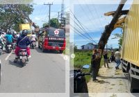 Truk Box Nyangkut di Pohon Tua Martapura, Jalan Veteran Macet Panjang! Warga Heboh Rekam Aksinya