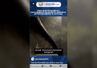 VIDEO - Viral Ular Piton Melilit Kaca Mobil di Jalan Raya, Videonya Ditonton Hingga 13 Juta Kali