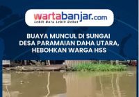 VIDEO - Buaya Muncul di Sungai Desa Paramaian Daha Utara, Hebohkan Warga HSS