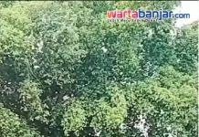 VIDEO - HEBOH! Warga Pati Kompak Tolak Kenaikan PBB Hingga Bantuan Membludak