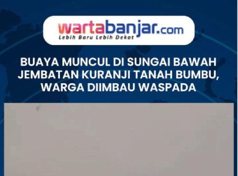 VIDEO - Buaya Muncul di Sungai Bawah Jembatan Kuranji Tanah Bumbu, Warga Diimbau Waspada
