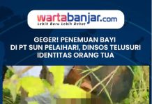 VIDEO - GEGER! Penemuan Bayi di PT SUN Pelaihari, Dinsos Telusuri Identitas Orang Tua