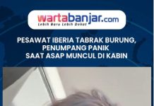 VIDEO - Pesawat Iberia Tabrak Burung, Penumpang Panik Saat Asap Muncul di Kabin