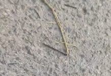Waspada Banyak Paku di Jalan Lingkar Dalam Selatan