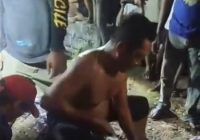 Seekor Buaya Besar Masuk Pemukiman di Sangatta Kaltim Ditangkap Warga