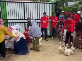 Emak-Emak Desa Pulantan Heboh Ikuti Lomba “Nangkap Itik”