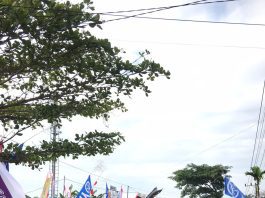 Meriah! Karnaval Kemerdekaan Warga Sukamara di Yamaha Grebek Kampung 2025