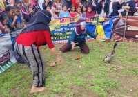 Keseruan Warga Gunung Batu di Lomba Nangkap Itik
