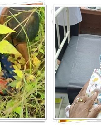 VIDEO! Penemuan Bayi Mungil di PT SUN Pelaihari, Dinsos Turun Tangan dan Cari Orang Tua Kandung