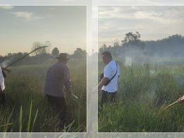 LAHAN MENYALA di Bati-Bati! Tim Gabungan Polsek dan Manggala Agni Bergerak Cepat, Hasilnya?