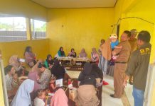 Pelayanan Kesehatan Terpadu di Desa Batu Mulia: Posyandu ILP Jadi Inspirasi untuk Kecamatan Panyipatan