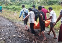 HEBOH! Pria Pemanjat Kelapa di Banjarbaru Mendadak Meninggal Usai Minum Susu Campur Air Kelapa