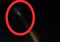 Viral Damkar Semprot Pocong di Pohon, Cek Fakta