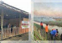 KARHUTLA MENGGANAS di Tanah Laut! Belasan Hektare Lahan Ludes, Bati-Bati Jadi Pusat Api