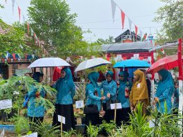 Desa Rantau Kaminting Tampil Gemilang di Lomba Asman Toga Provinsi, PKK HST Raih Apresiasi Tinggi