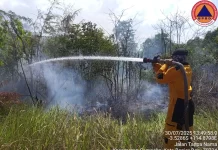 Hindari Karhutla, BNPB Imbau Masyarakat Lakukan Sejumlah Hal ini