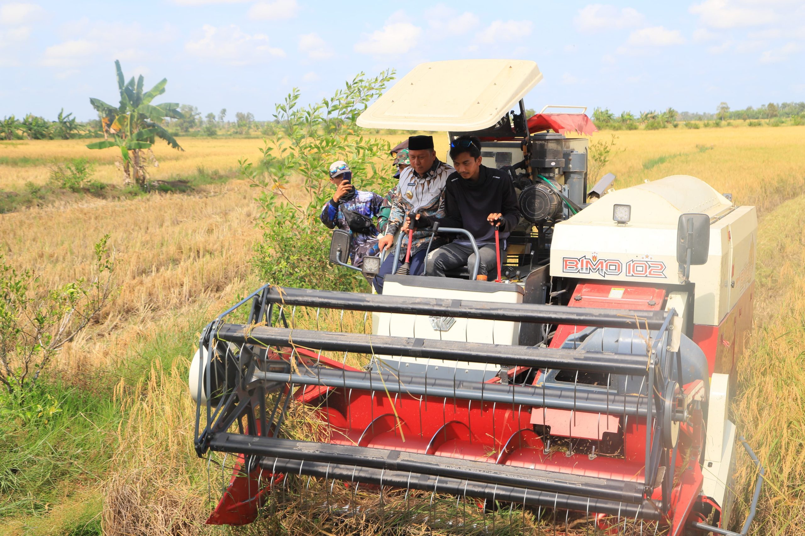 Utamakan Ketahanan Pangan, Barito Kuala Dapat Oplah 1.696 Hektar dan Cetak Sawah Baru 225 Hektar