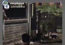 Seorang Pria Ditangkap Warga Komplek HKSN Banjarmasin, Diduga Maling Mangga