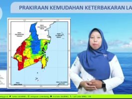 Peringatan Karhutla Kalsel Kamis 7 Agustus 2025, BMKG: Waspada Kawasan Sangat Mudah Terbakar