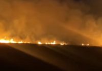 Lahan Gambut 0,5 Hektare di Balanti HST Terbakar