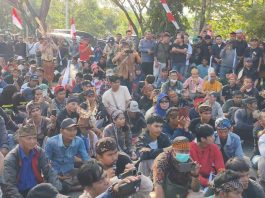 ‎Walhi Kalsel Minta Usulan Taman Nasional Dihentikan: Libatkan Masyarakat Adat!