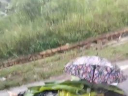 Seorang Pria Terkapar Meninggal Dunia Akibat Kecelakaan Lalu Lintas di Gunung Rimpi Tanah Laut