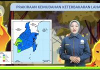 BMKG: Potensi Karhutla Kalsel Hari ini Aman, Sedikit Wilayah di Batola Mudah Terbakar