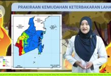 BMKG: Karhutla Kalsel Hari ini Tergolong Aman, Kalsel Bagian Barat dan Selatan Mudah dan Sangat Mudah Terbakar