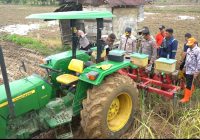 Wujudkan Ketahanan Pangan di Banjarbaru, 15 Hektare Lahan Sawah Kini Jadi Ladang Jagung