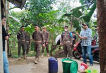 Satpol PP Balangan Amankan 60 Liter Tuak di Gunung Pandau, Pelaku Sempat Menolak Dibawa Petugas