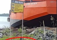 GEGER! Buaya Muncul di Siang Bolong Pelabuhan Batang Tanah Bumbu, Netizen: Biawak Apa Buaya?