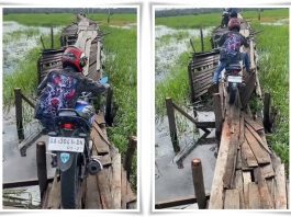 NGERI! Warga Barito Timur Nekat Lintasi Titian Maut yang Rusak Parah di Desa Muara Palantau