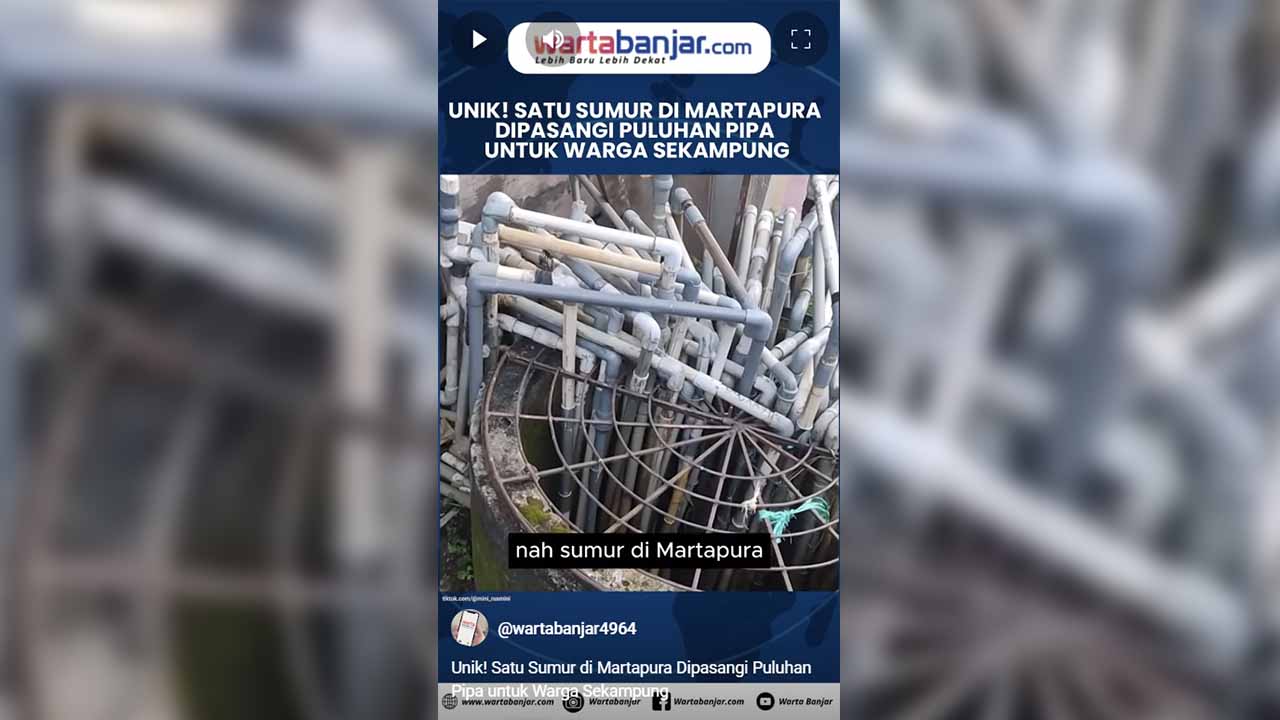 mtp viral