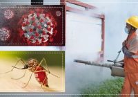 BREAKING! Virus Chikungunya Meledak di China: 7.000 Kasus Terdeteksi, Kota Diblokade, Pasukan Khusus Dikerahkan!