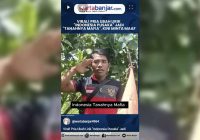 VIDEO - Viral! Pria Ubah Lirik "Indonesia Pusaka" Jadi "Tanahnya Mafia", Kini Minta Maaf