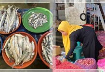Ikan, Daging & Ayam Jadi Primadona saat Maulid, Disdag HST Pastikan Harga Pangan Barabai Aman