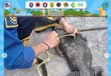 Biawak Masuk Rumah Warga di Kampung Melayu Banjarmasin