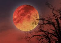 SIAP-SIAP! Besok Blood Moon Spektakuler Sambangi Indonesia, Catat Jamnya Biar Nggak Ketinggalan!