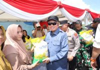 SPEKTAKULER! Panen Raya Jagung di Lahan Rawa Kalsel Capai 700 Ton, Gubernur Muhidin Hadiahi Mesin Pemanen