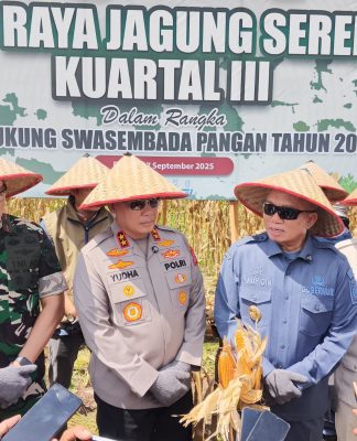 Gubernur Kalsel Serahkan 4 Mesin Panen Jagung: Produksi Siap Melonjak di Kuartal III &amp; IV!