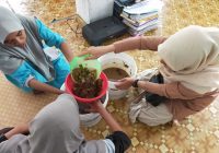 Cuma Butuh 3 Bahan, Sampah Dapur Bisa Jadi Cairan Ajaib Serbaguna